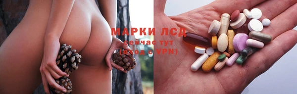 сатива Алексин