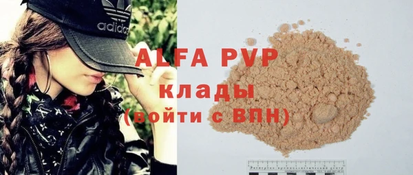 стафф Алзамай