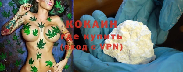 стафф Алзамай