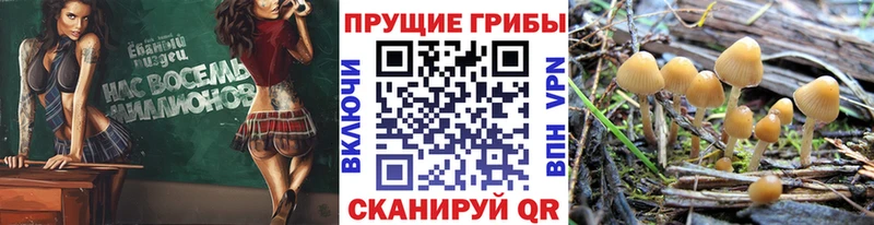 Псилоцибиновые грибы мицелий  Когалым 